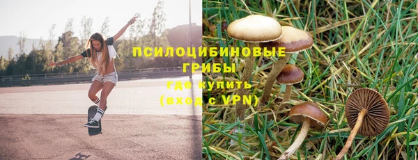 гашиш Богородск