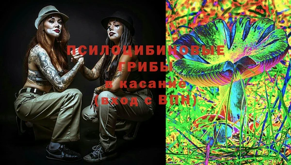молекула духа Бугульма