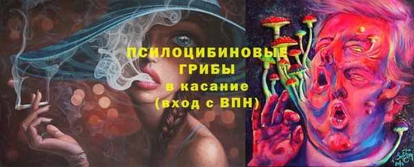 jwh Богородицк