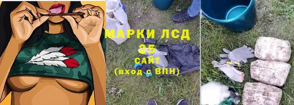 молекула духа Бугульма