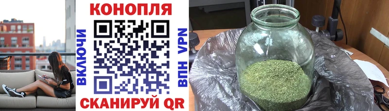 Конопля сатива Медногорск